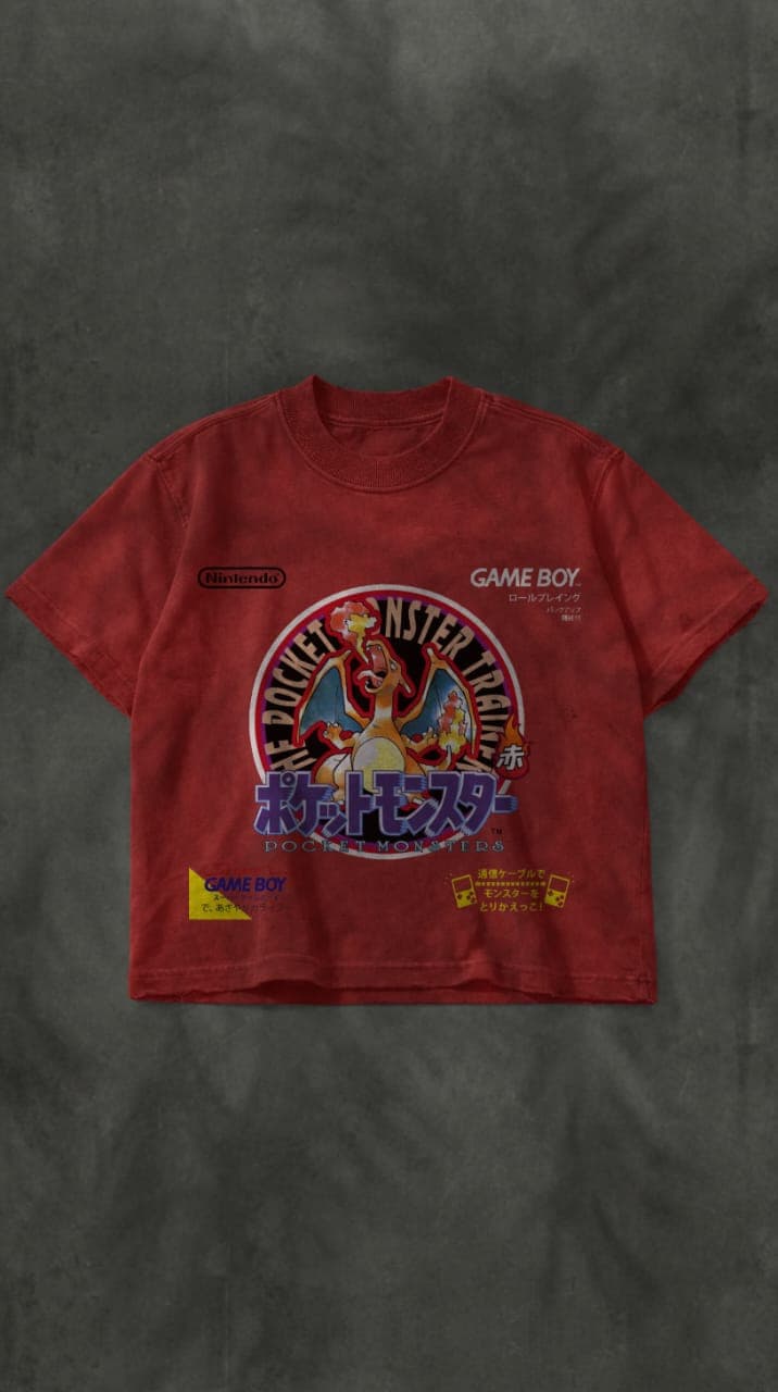 Charizard - View 1